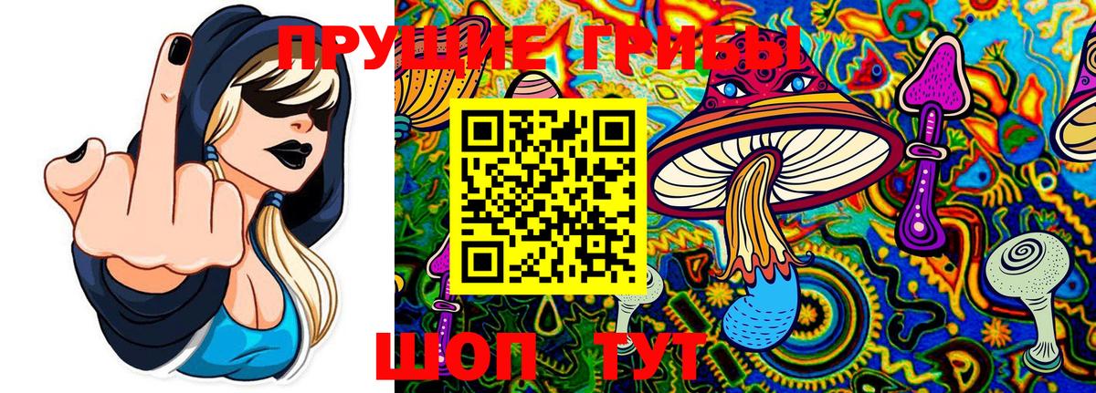 Галлюциногенные грибы мицелий  Вход с VPN  Сертолово 