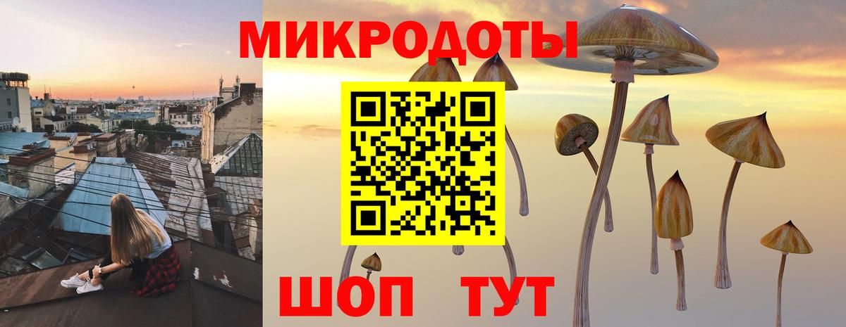 Псилоцибиновые грибы ЛСД  Сертолово  Псилоцибиновые грибы мицелий 